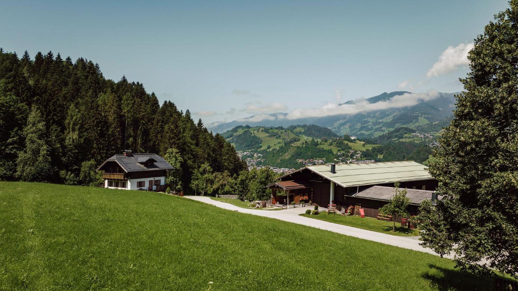 Hotel Lerchs
